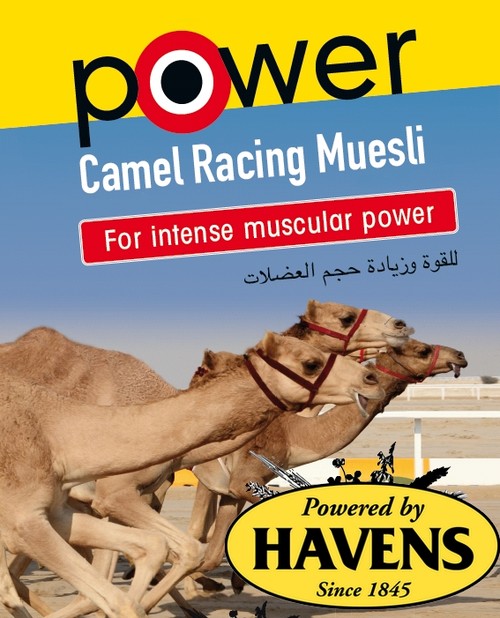 Camel feed